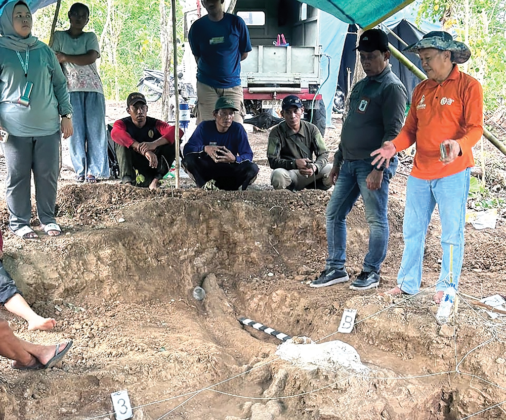 BERSEJARAH: Fosil Stegodon akan dibawa ke Museum Anjuk Ladang.