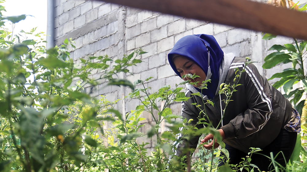 TUKAR SAMPAH: Tanaman cabai didapat dengan menukar sampah plastik.