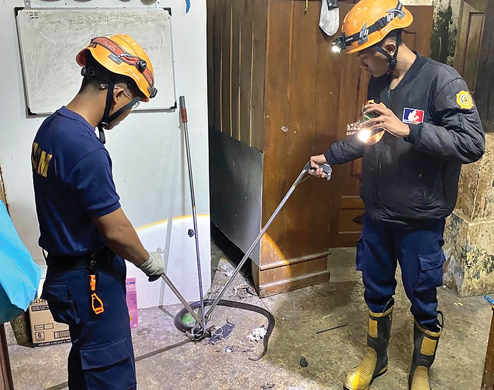 BERBISA: Petugas Damkarmat Nganjuk mengevakuasi ular kobra yang bersembunyi balik lemari rumah warga.