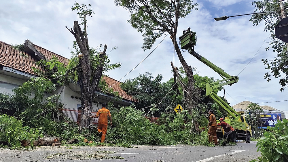 CEGAH POHON TUMBANG: Petugas DLHKP Nganjuk memotong pohon di sepanjang Jalan Jaksa Agung Suprapto Nganjuk karena rawan ambruk saat hujan deras dan angin kencang.