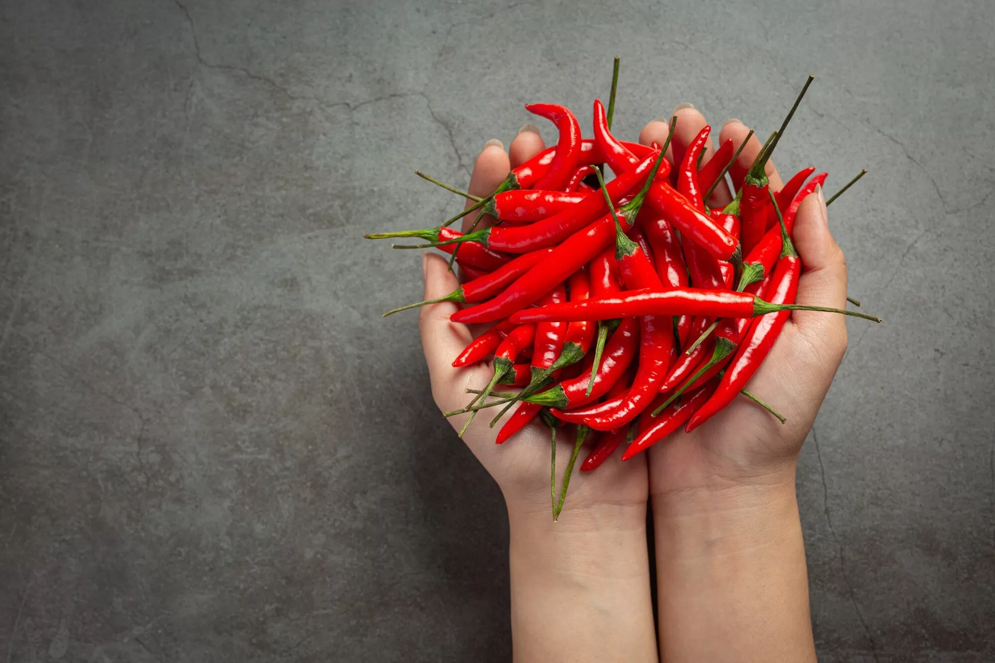 Tangan penuh cabai merah segar, tapi sering meninggalkan sensasi panas di kulit