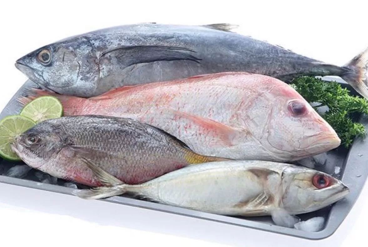 Cara memilih ikan segar yang tepat untuk kesehatan tubuh