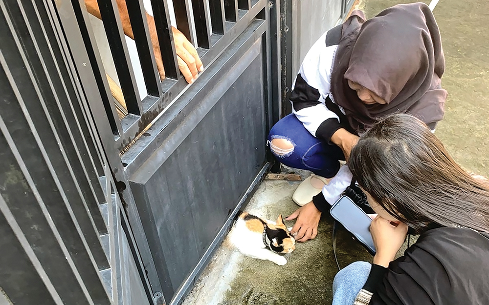BIKIN PANIK: Kucing milik warga Perum Candirejo, Desa Gejakan, Kecamatan Loceret terjepit pagar rumah. Damkarmat turun tangan.