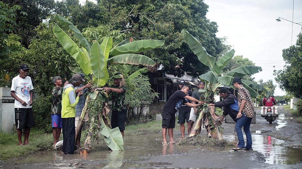 JENGKEL: Warga Dusun Miren, Desa Sidoharjo, Kecamatan Tanjunganom menanam pisang di jalan yang berlubang kemarin. Aki tanam pisang tersebut sebagai bentuk protes karena jalan rusak tak