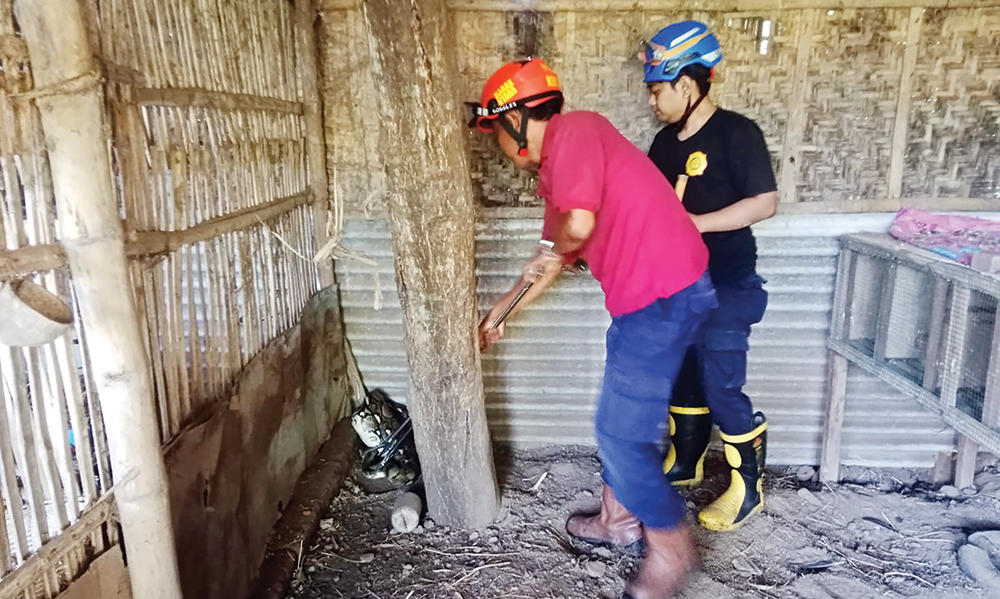 BIKIN PANIK: Petugas Damkarmat Nganjuk mengevakuasi ular sanca di kandang milik warga Desa Pandean, Kecamatan Gondang.