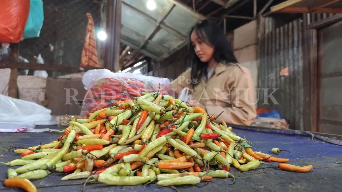 Harga cabai anjlok pasca lebaran