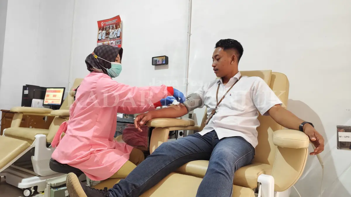 Donor darah