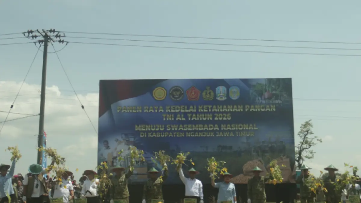 Panen Raya Kedelai di Nganjuk