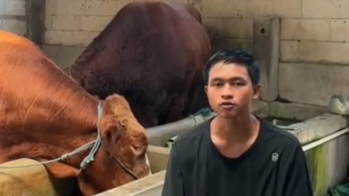 Jovan Pratama, peternak muda yang sapinya terpilih untuk hewan kurban Presiden Prabowo di Nganjuk. (Foto: SC Video Dinas Pertanian Nganjuk) 