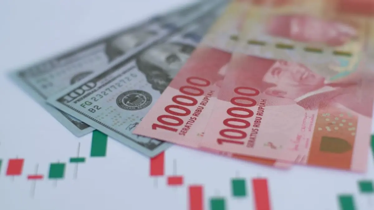 Kurs Dollar -Ruipah