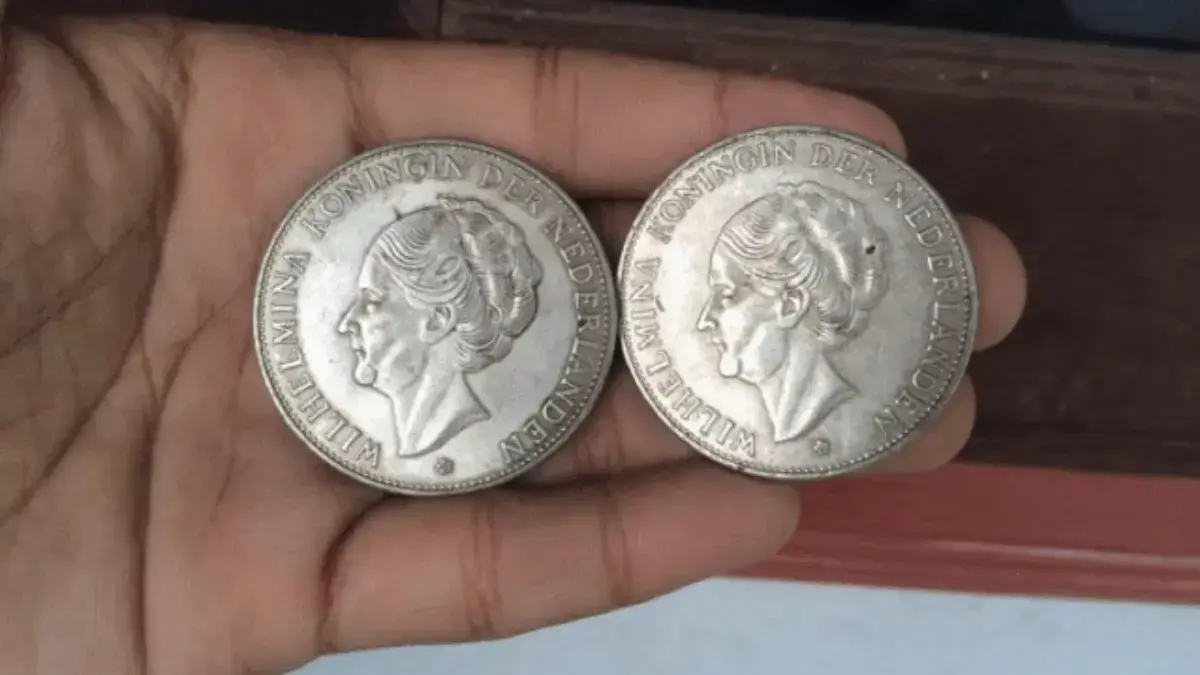 Perak Wilhelmina Asli