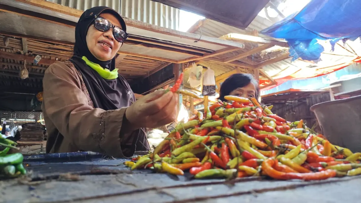 Harga Cabai Rawit Anjlok