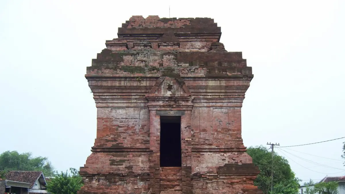 Caandi Ngetos