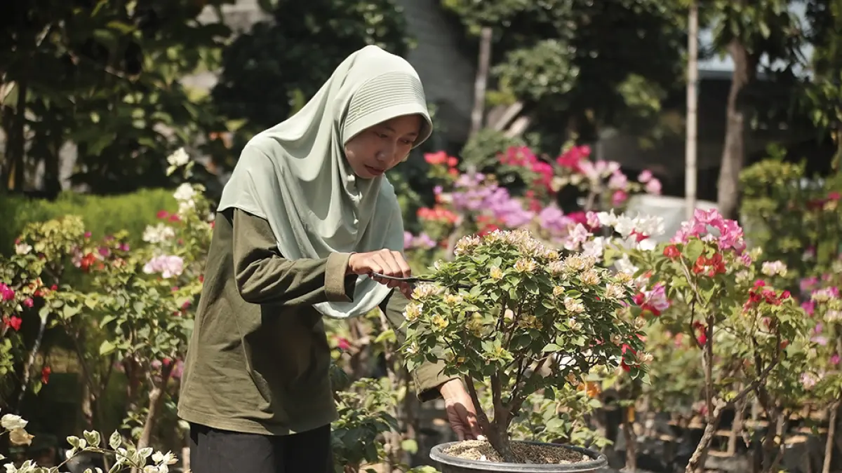 JITU: Petani muda Nilla Eka Rahmawati merawat bougenville dan menjualnya secara online. (karen wibi/JPRK)