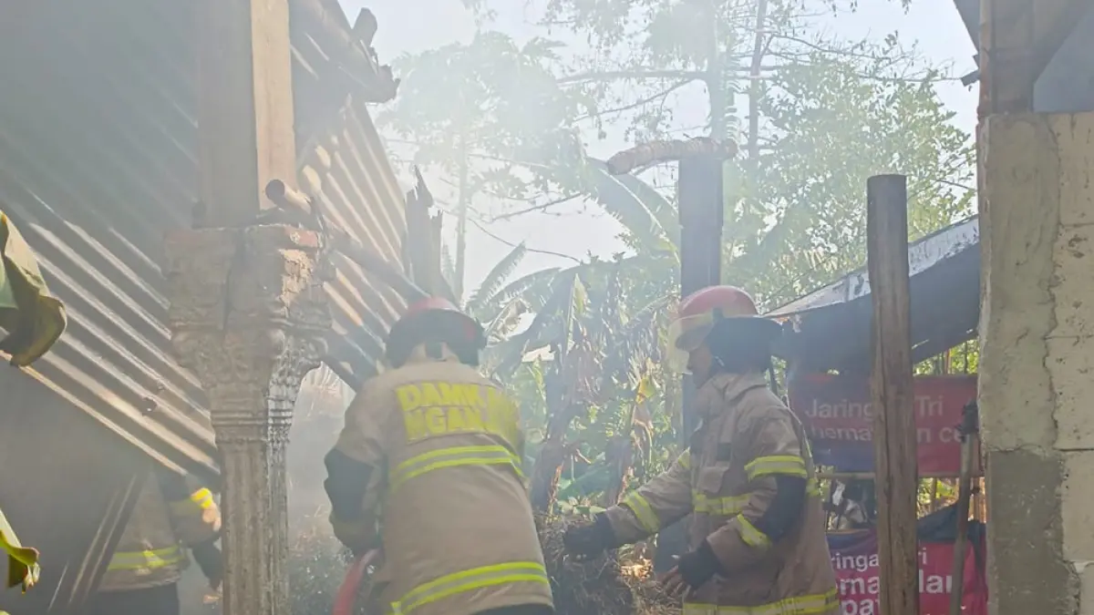 kobaran api menghanguskan kandang beserta tumpukan jerami pakan ternak. (novanda nirwana/jprk)
