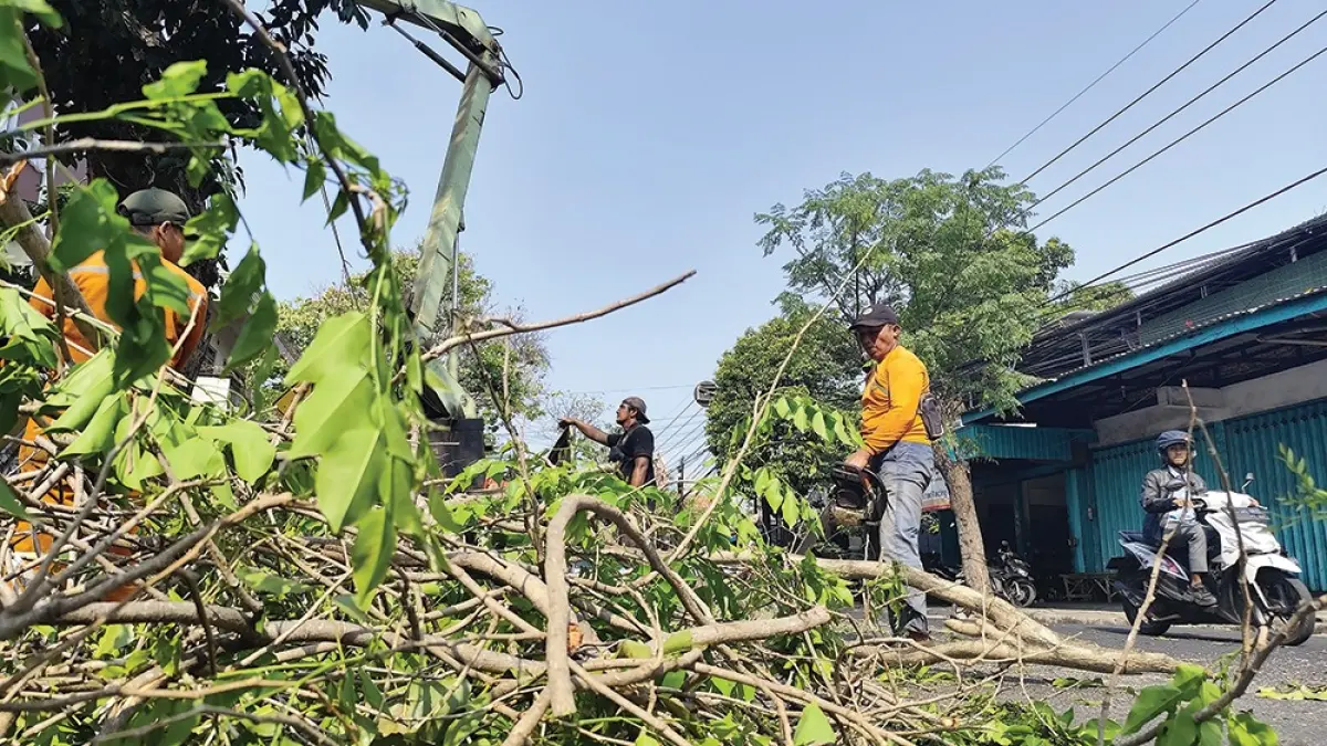 RAWAN TUMBANG: Petugas Dinas Lingkungan (DLH) Kabupaten Nganjuk menebang pohon di Jalan Dr. Sutomo Nganjuk kemarin. Angin kencang akan melanda Kabupaten Nganjuk saat kemarau. (karen wibi/jprk)