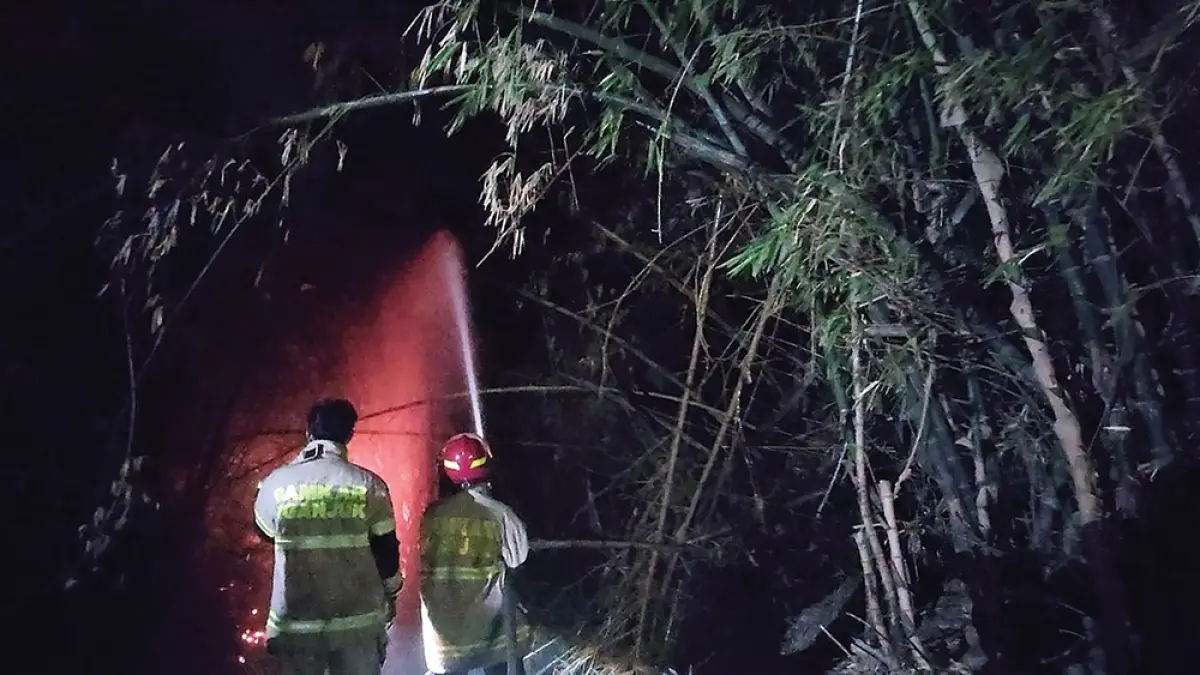 MEMBARA: Petugas Damkarmat Nganjukmenyemprot di jago merah yang melalap rumpun bambu di Loceret. (DAMKARMA UNTUK  JP RADAR NGANJUK).