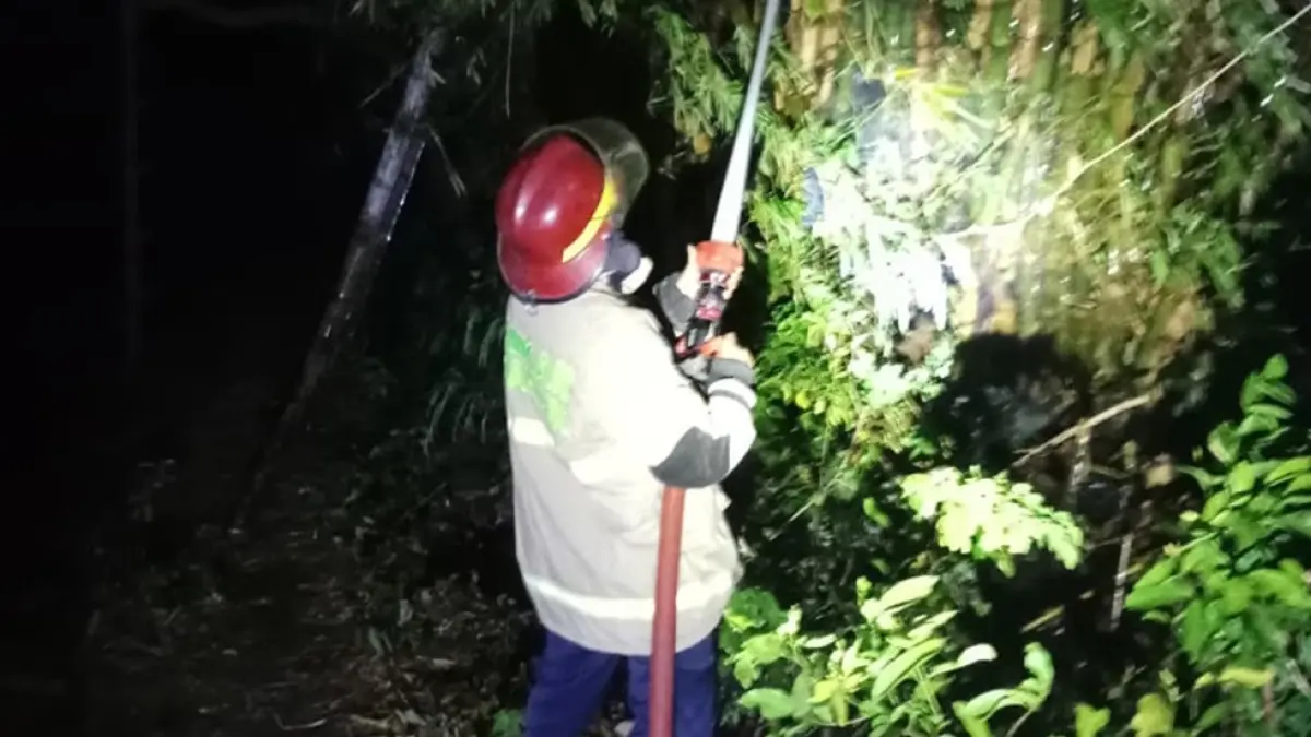 Api diduga berasal dari pembakaran sampah yang kemudian merambat melalui dedaunan kering akibat tertiup angin. (novanda nirwana/jprk)