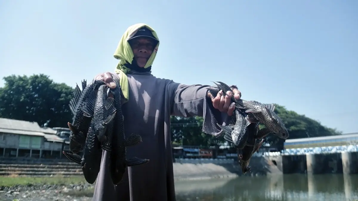 RESAHKAN PENCARI IKAN: Tono menunjukkan ikan sapu-sapu yang memenuhi Sungai Mbaduk. Ikan ini tidak laku dijual. (karen wibi/jrpk)