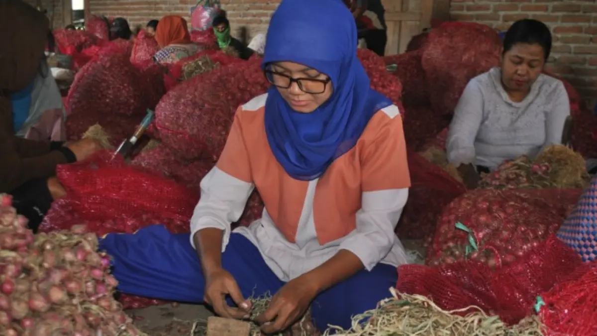 Seorang buruh kupas bawang merah duduk di antara karung-karung merah, merapikan hasil panen demi upah harian di Nganjuk.