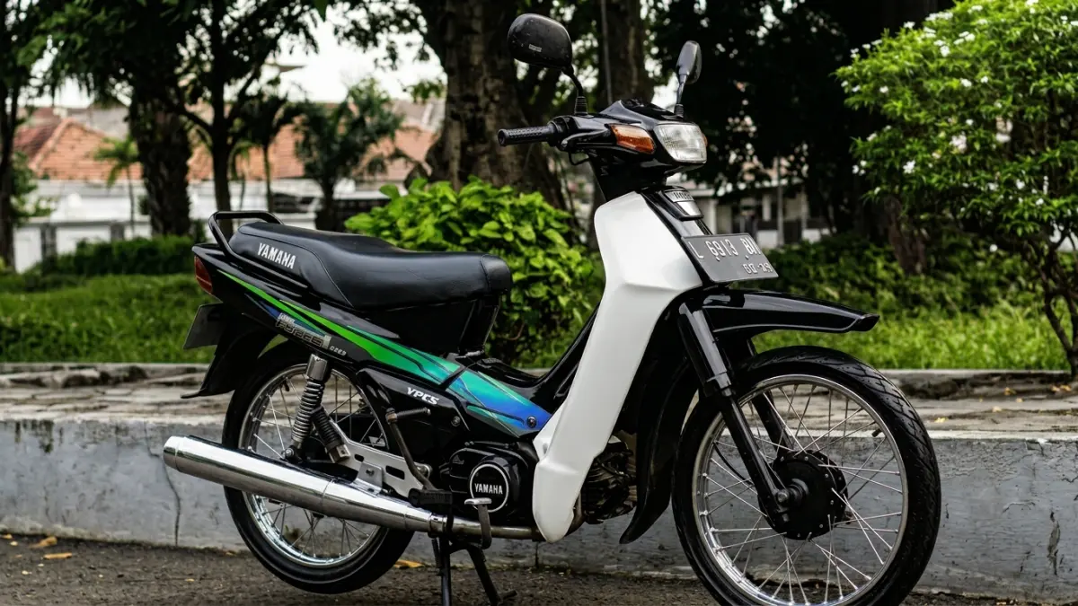 Yamaha Force 1