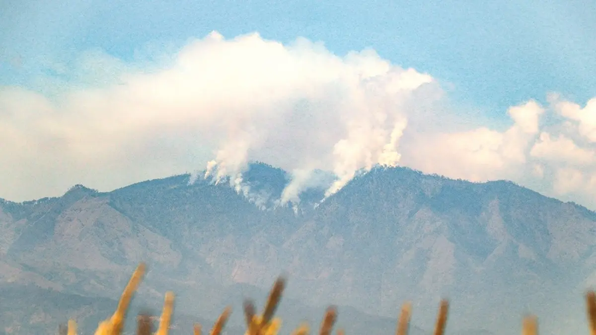 ASAP MENGEPUL: Puncak Gunung Wilis terlihat terbakar kemarin. Kebakaran dikhawatirkan meluas. (karen wibi/jprk)
