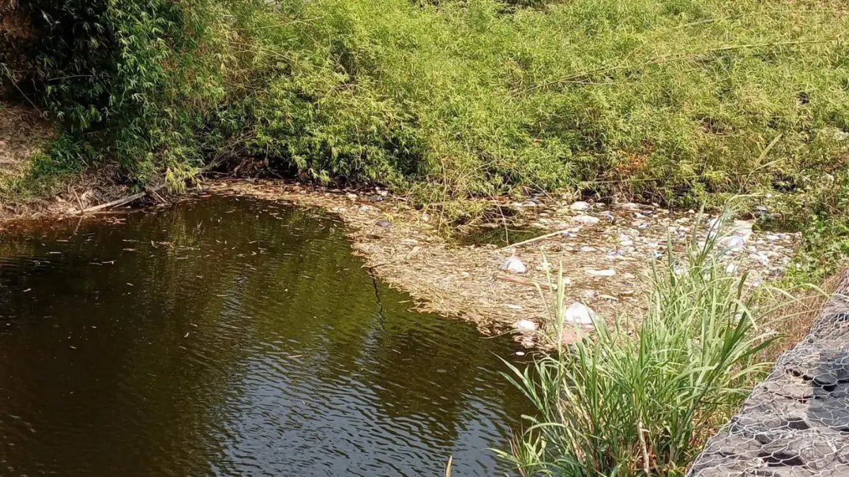 Kondisi Sungai Bodor yang kini dipenuhi sampah dan rumpun bambu. (Foto: D Eko)