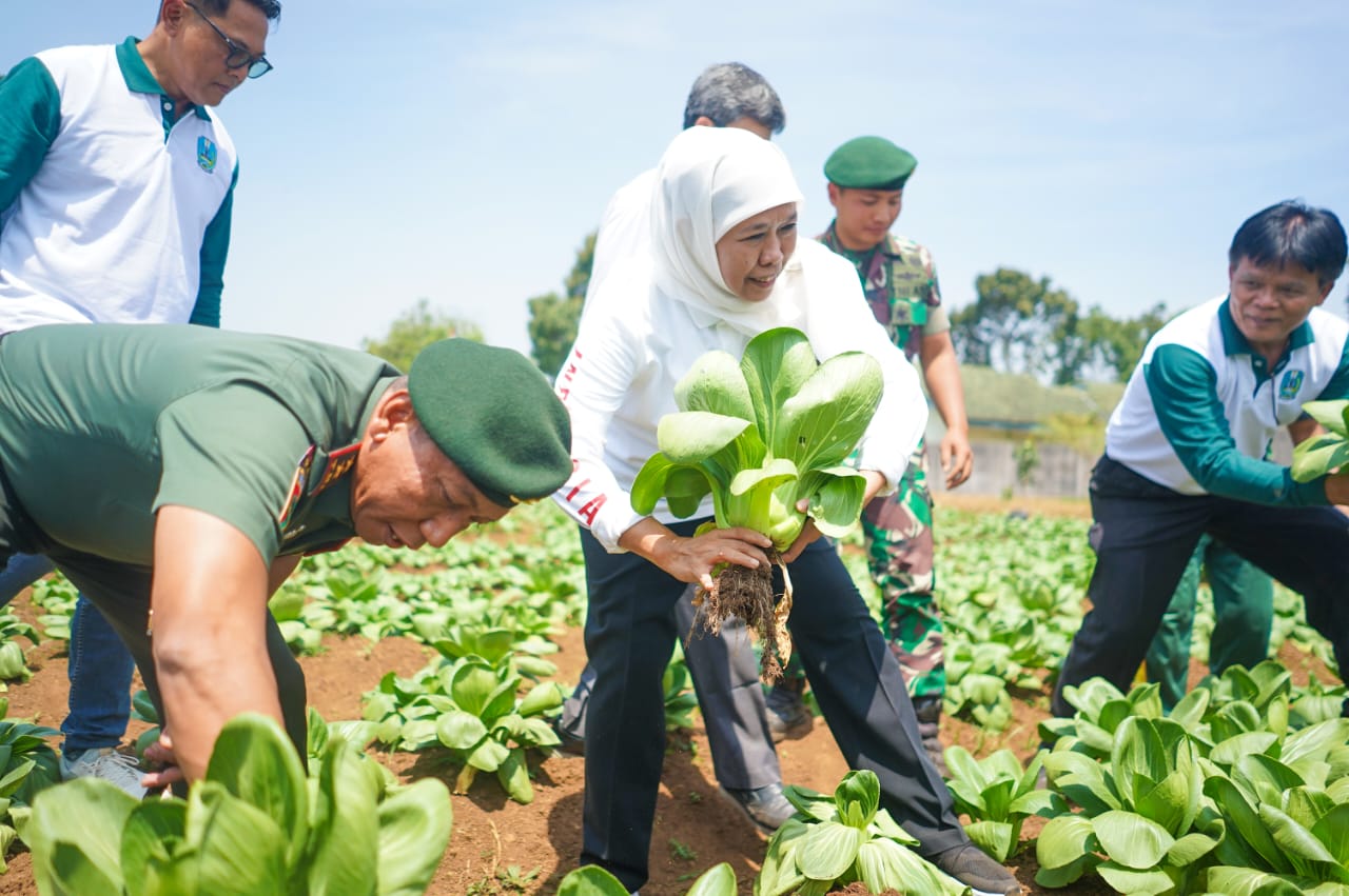 SWASEMBADA PANGAN: Memperkuat ketahanan pangan sekaligus pengembangan Desa Mandiri menjadi salah satu upaya Pemprov Jatim dalam mendorong pertumbuhan ekonomi.