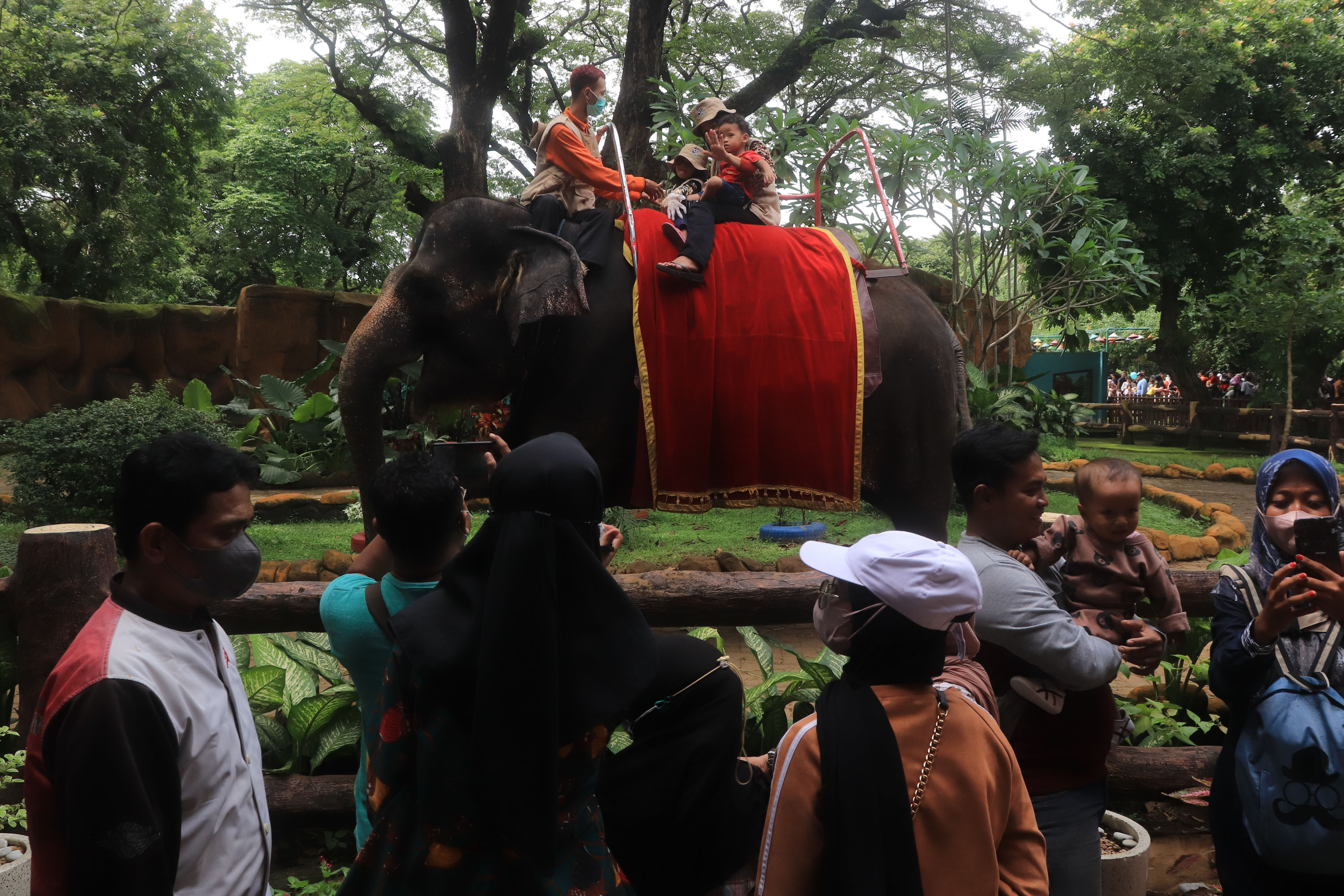Kebun Binatang Surabaya.