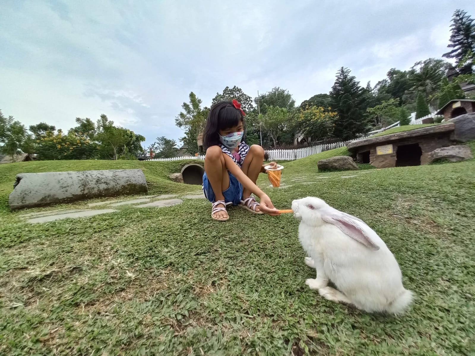 Berinteraksi dengan memberikan makan dengan hewan jadi aktivitas seru bagi anak-anak di Cimory Dairyland Prigen.