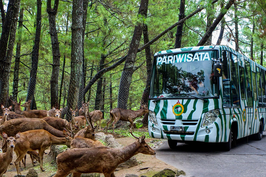 Taman Safari Prigen