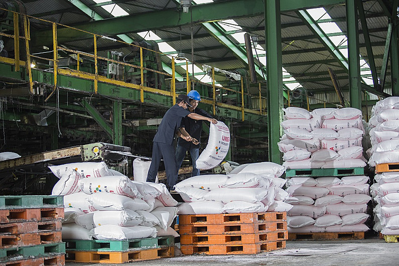 MEMADAI: Ketersediaan pupuk bersubsidi dan nonsubsidi setara dengan 200 persen dari ketentuan stok minimum yang ditetapkan pemerintah.