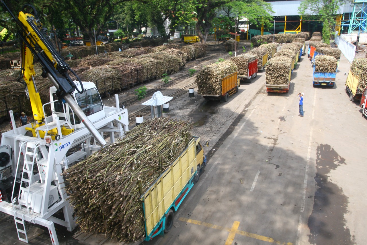 OPTIMISTIS: Di Regional 4 produktivitas tebu diperkirakan bisa mencapai 100 ton per hektare.