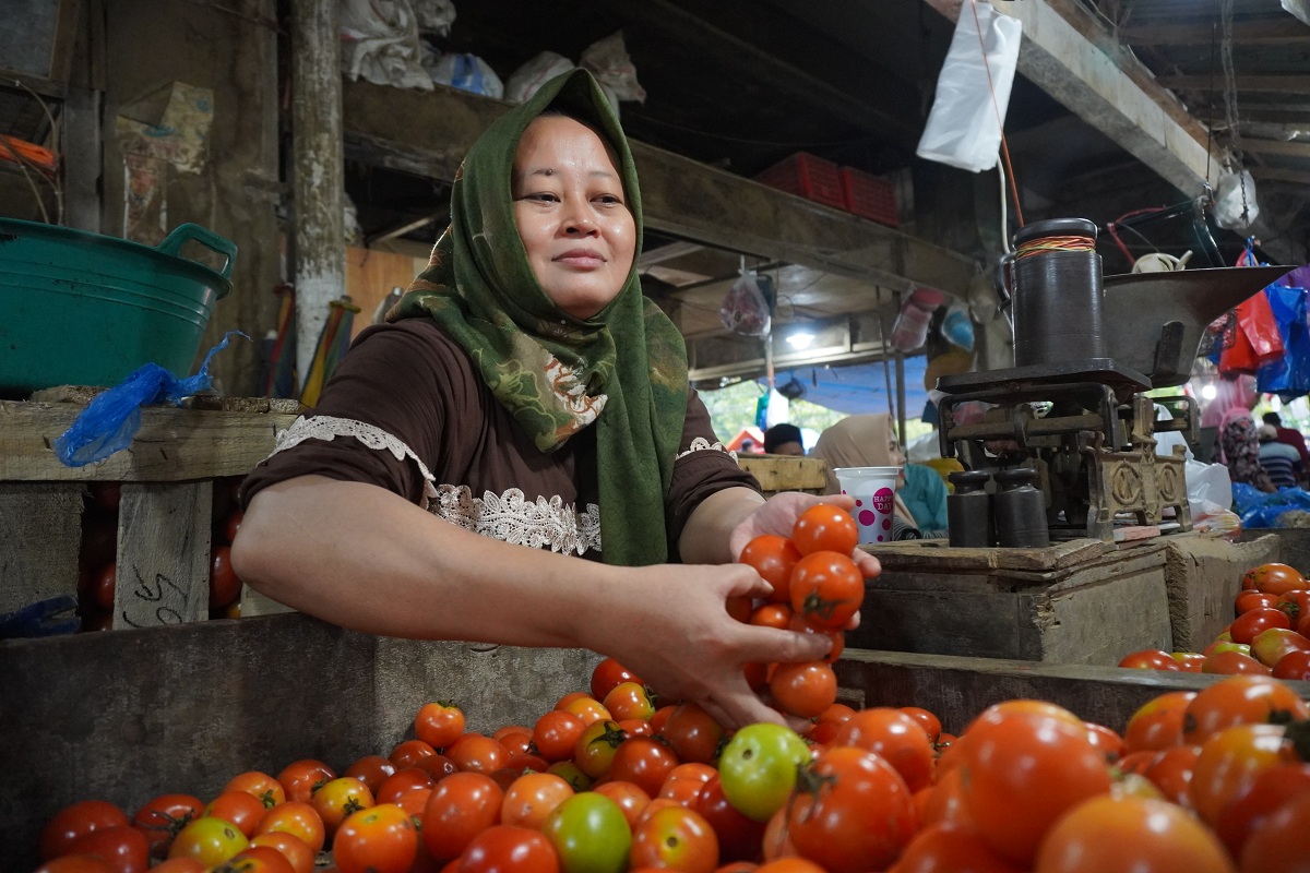 MELONJAK: Kenaikan harga tomat di tingkat konsumen terjadi mulai minggu ketiga Desember 2023 hingga minggu ketiga Januari 2024.