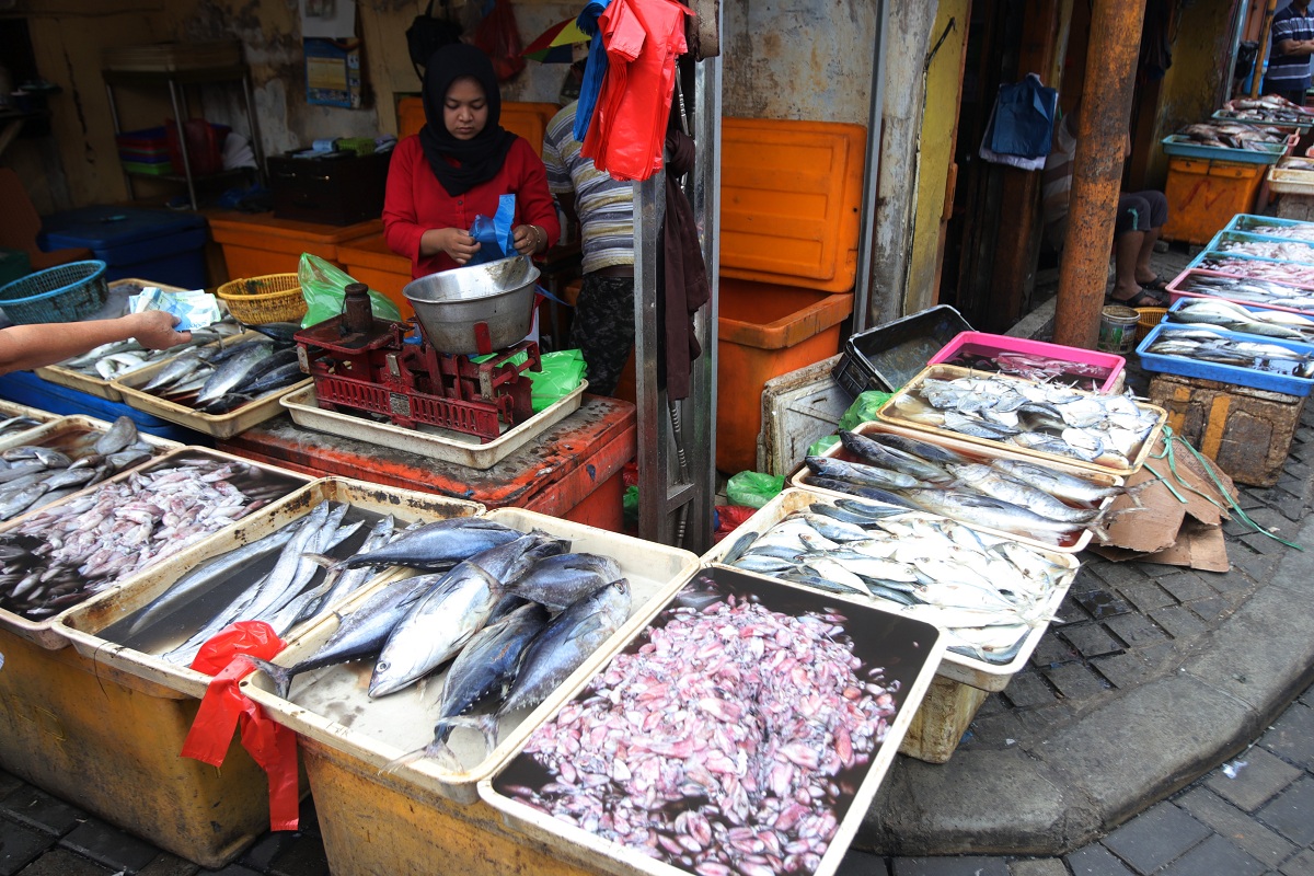 BUTUH SOLUSI: Sejumlah nelayan dan pedagang mengeluhkan harga ikan yang turun beberapa waktu terakhir.