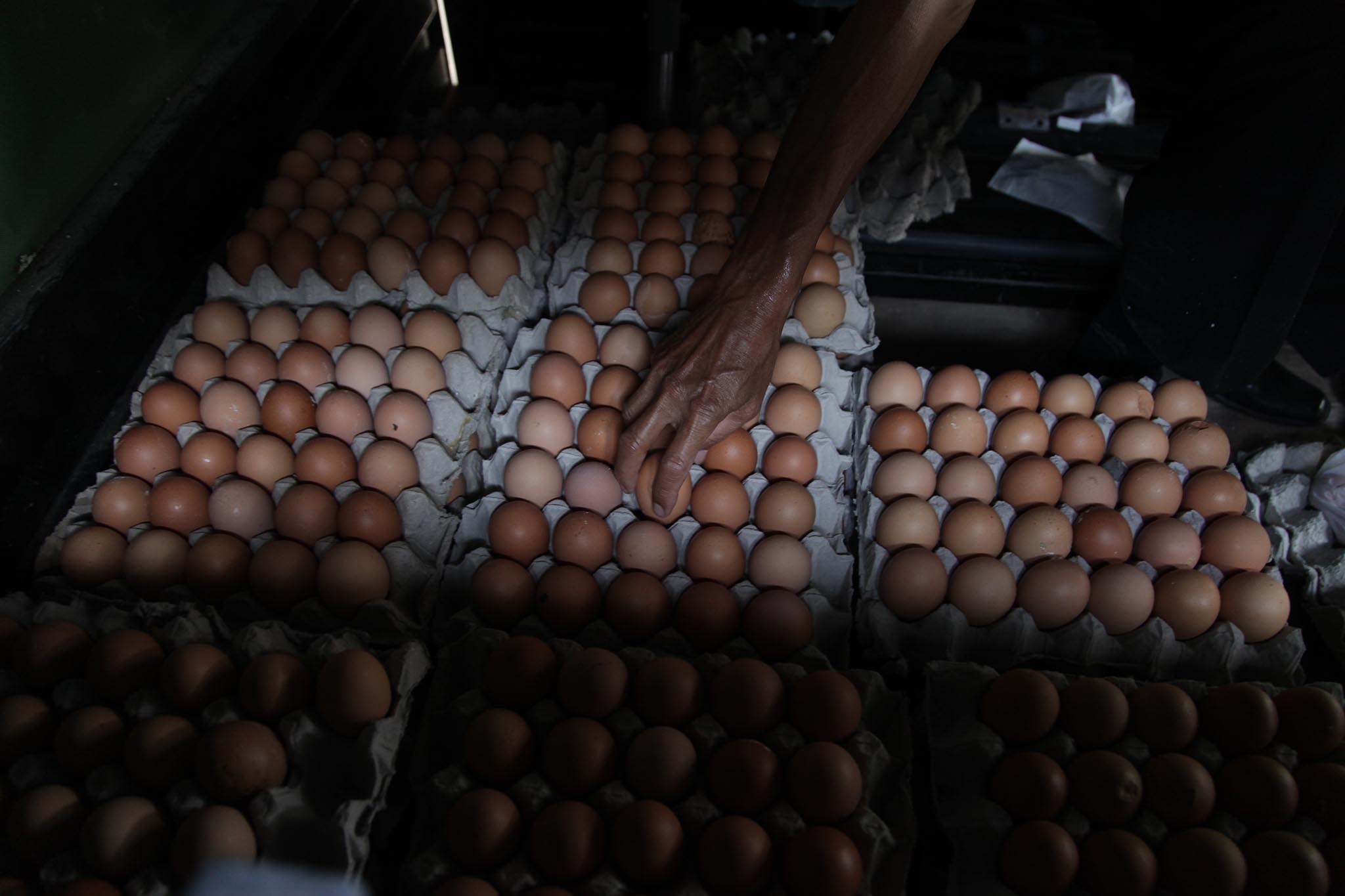 Naiknya harga telur jelang Ramadan menjadi momen tahunan.