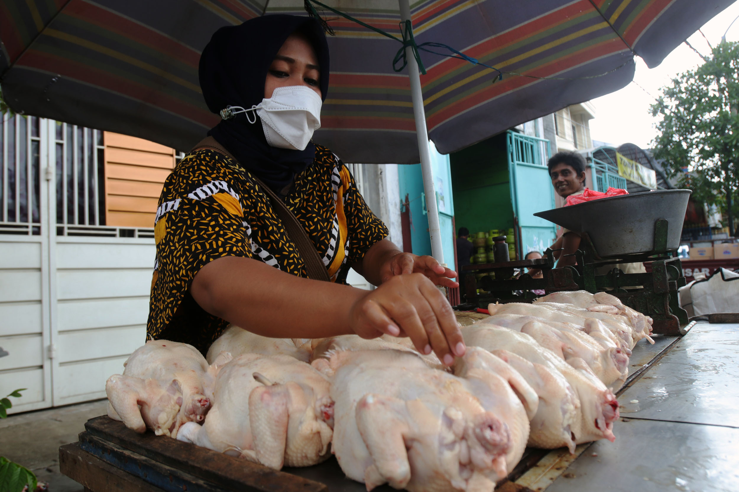 Sempat melonjak, harga daging dan telur ayam di sejumlah daerah di Jatim mulai turun.