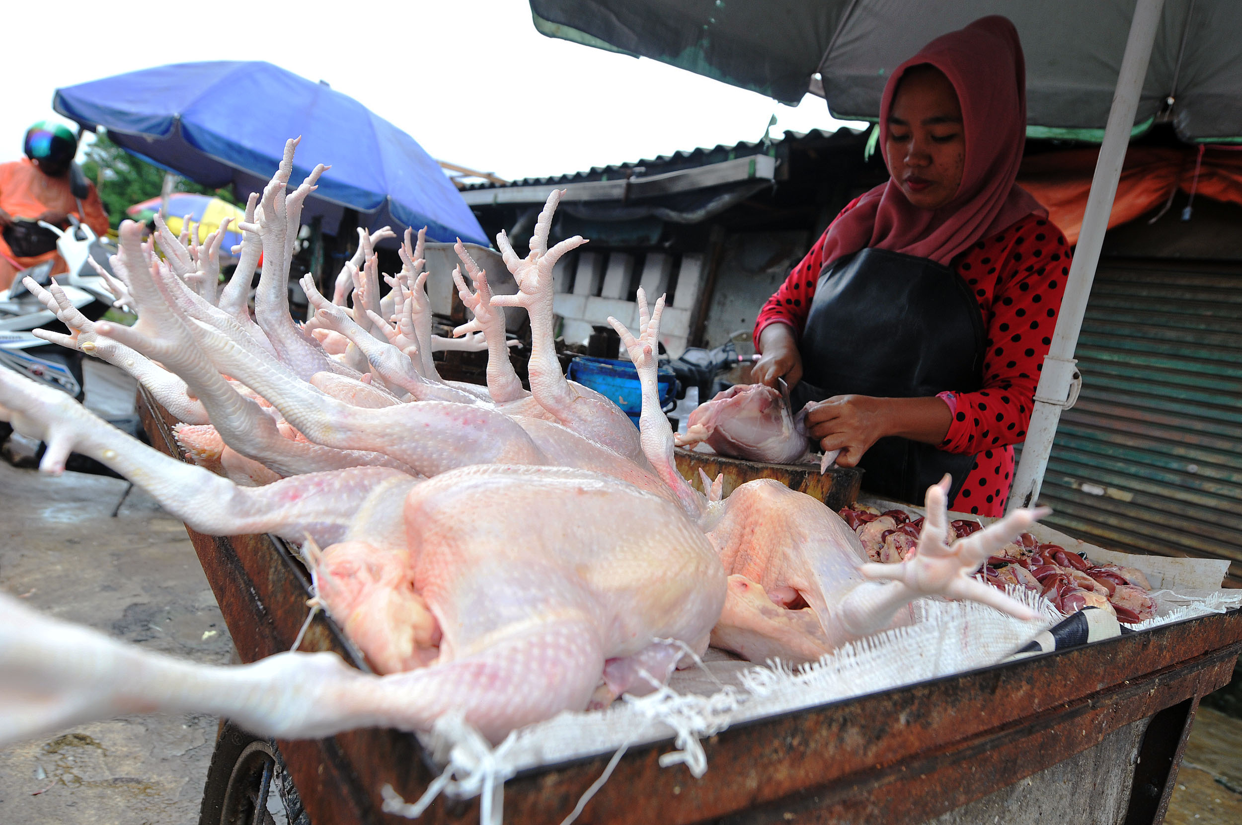 HARGA MELONJAK: Daging ayam menjadi salah satu kontributor utama inflasi Jatim bulan Maret.