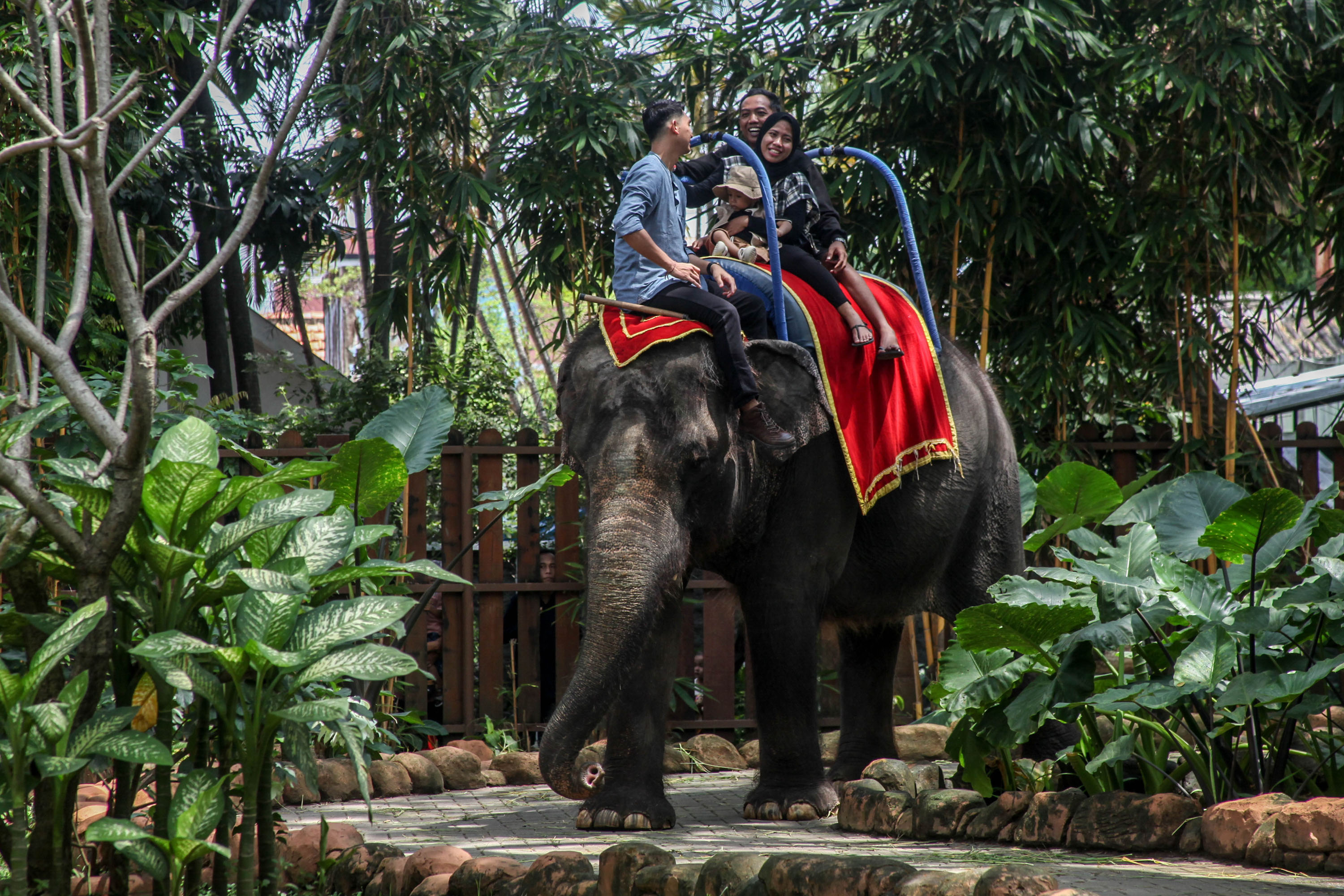 Ada banyak destinasi wisata di Surabaya yang tak hanya menyuguhkan pengalaman rekreasi, namun juga edukasi.