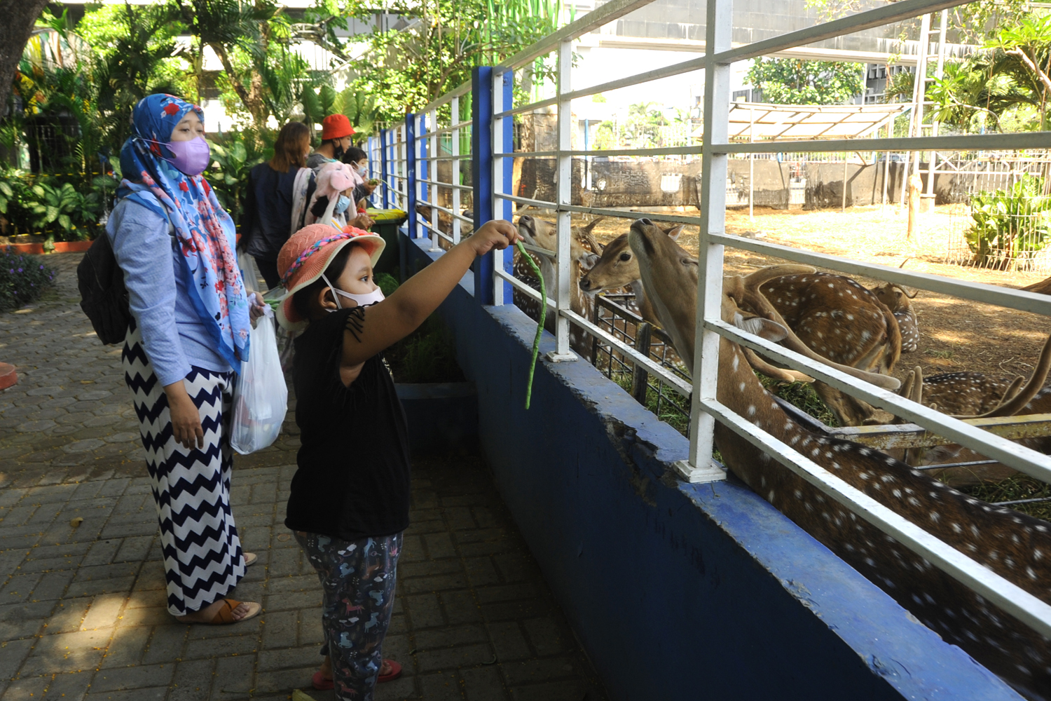 Pengunjung bisa berinteraksi dengan hewan di Taman Flora Bratang.