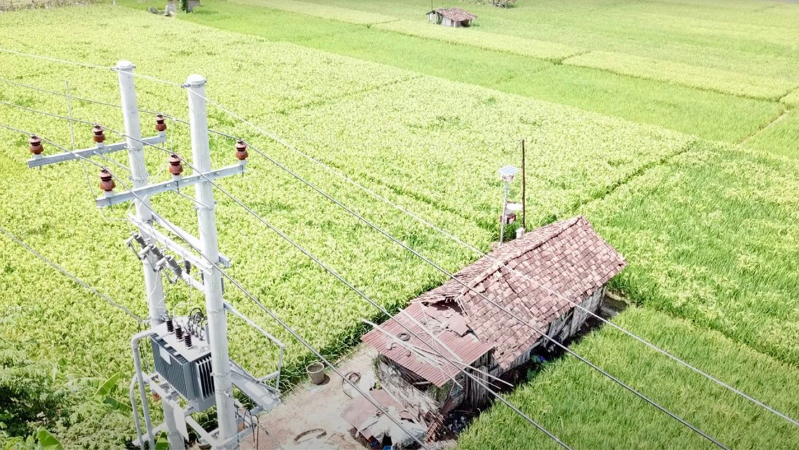 TUMBUH: Jaringan tegangan menengah PLN di areal persawahan Desa Sukorejo, Ponorogo, Jawa Timur untuk mendukung aktivitas pertanian petani.