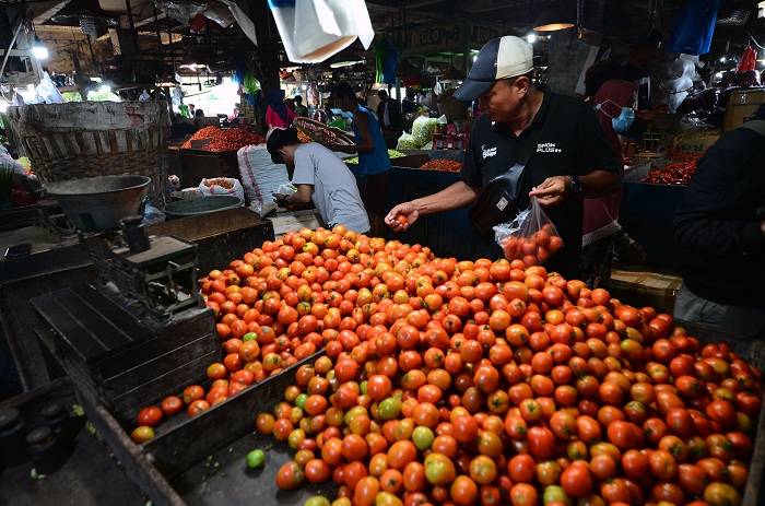 SEGAR: Harga tomat terus merangkak naik. Hari ini harga tomat di angka Rp 4.990 per kg.