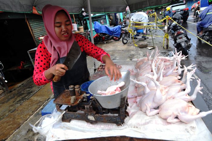 JUAL: Penjual daging ayam ras menyiapkan dagangan di salah satu pasar tradisional di Surabaya.