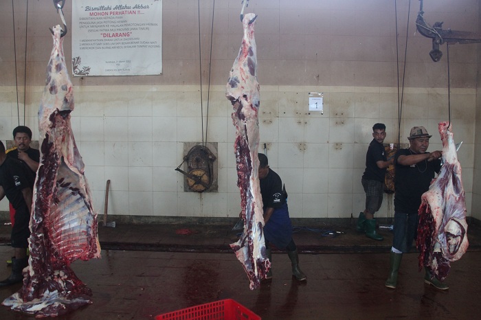 POTONG SAPI: Aktivitas pemotongan sapi di RPH Kota Surabaya dilakukan sesuai persyaratan yang sudah ditentukan.