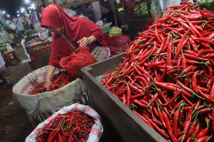 MELONJAK: Awal tahun, harga cabai merah melonjak karena cuaca ekstrem.