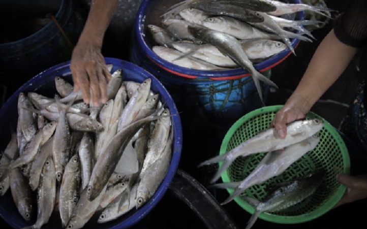 NAIK: Harga ikan bandeng di Surabaya hari ini, Kamis (19/10), merangkak naik.