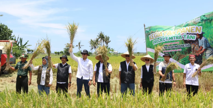 PANEN: Bulog konsisten dukung petani Banyuwangi lewat Program Mitra Tani untuk tingkatkan produktivitas dan ketahanan pangan dengan praktik pertanian berkelanjutan.