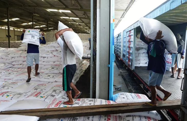 ANGKUT: Sejumlah buruh memindahkan pupuk bersubsidi ke gudang untuk selanjutnya didistribusikan ke petani.