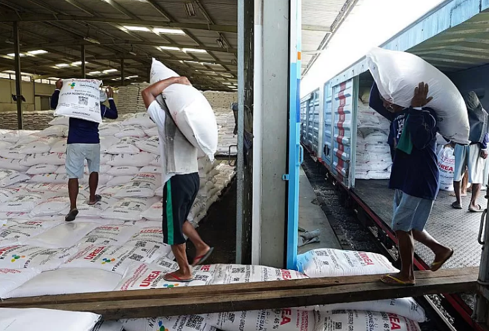 DIPINDAH: Sejumlah pekerja memindahkan pupuk dari truk untuk selanjutnya disimpan di gudang. Mulai Rabu (1/1), petani sudah bisa tebus pupuk subsidi.