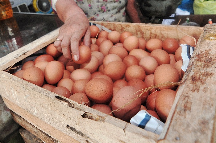 SURPLUS: Pproduksi telur nasional saat ini mengalami surplus sekitar 288,7 ribu ton atau setara 5 miliar butir per bulan.